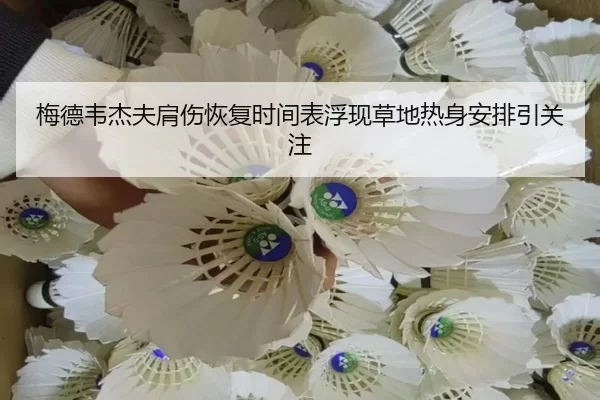 梅德韦杰夫肩伤恢复时间表浮现草地热身安排引关注