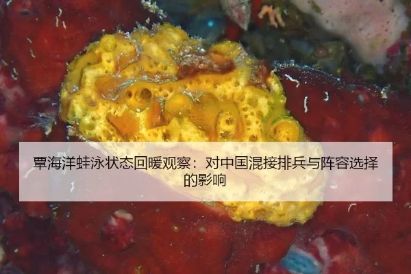 tan-hai-yang-wa-yong-zhuang-tai-hui-nuan-guan-cha-dui-zhong-guo-hun-jie-pai-bing-yu-zhen-rong-xuan-ze-de-ying-xiang-2-442.jpg